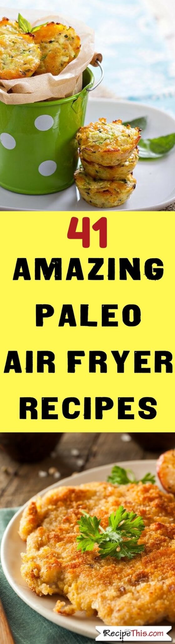 Air Fryer Paleo Recipes Perfect Paleo Air Fryer Recipes Recipe This